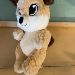 Hračka, jak nahlášeno Familie Resort Molenwaard pomocí iLost