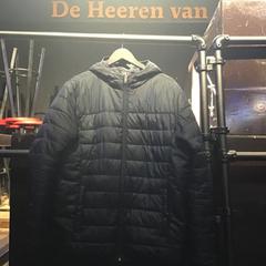 Zwarte donsjas, zoals gemeld door De Heeren van Aemstel met iLost