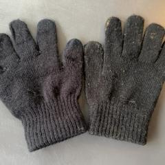 Handschoenen Zwart, zoals gemeld door Burgers' Zoo met iLost