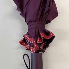 Paraplu - auberginekleur, zoals gemeld door Centraal magazijn met iLost