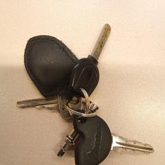 Sleutels, ha sido reportado por Arriva Den-Bosch con iLost