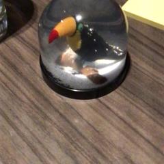 Snowglobe がiLostで Van der Valk Hotel Zwolle によって報告されました