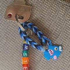 Sleutel Pijp Amsterdam visje がiLostに報告されました