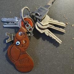 Sleutels, som rapporterats till iLost