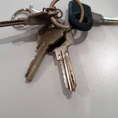 Nøkkel, som rapportert av Gemeente Oost Gelre ved bruk av iLost