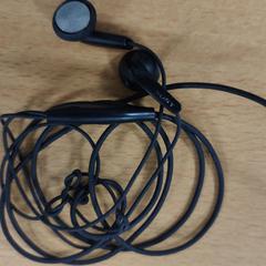 Oortjes Zwart, zoals gemeld door VITAZ campus Sint-Niklaas met iLost