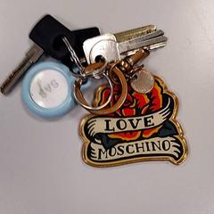 Giltzak Grijs, gisa salatu by Vrije Universiteit Amsterdam iLost erabiliz