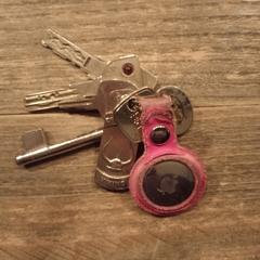 Sleutelbos, iLost에 보고됨