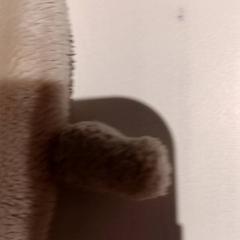 Ölelős pofon, amint azt De Efteling az iLost segítségével jelentette.