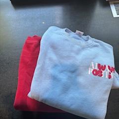 Pullover, gemeldet von Hotel V Fizeaustraat über iLost