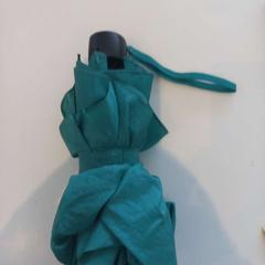 Paraplu', come riportato da Arriva Limburg Zuid utilizzando iLost