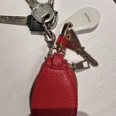 Sleutelbos, jak zgłoszono do iLost