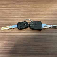 İLost kullanarak Ziggo Dome tarafından bildirildiği gibi Anahtarlar - 160126 FRANKY