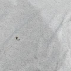 Sveter Grey, ako bolo nahlásené KABUL à GoGo / Teatro pomocou iLost