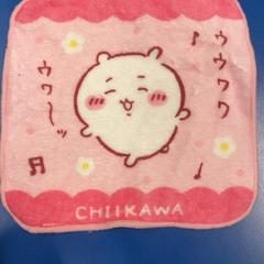 손수건, iLost를 사용하여 IKEA福岡新宮에 보고됨