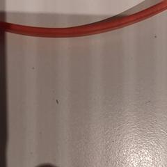 Sonnenbrille, gemeldet von De Efteling über iLost