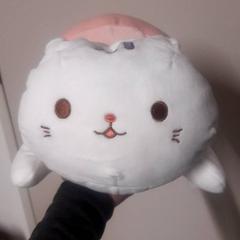 Peluix, segons ha informat Grand Hotel Amrath Kurhaus mitjançant iLost