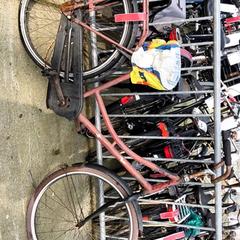 Bicicleta de mujer Rood, ha sido reportado por Stadswerk072 con iLost