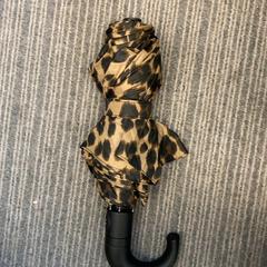 İLost kullanarak Pathé Delft tarafından bildirildiği gibi Şemsiye Panther print