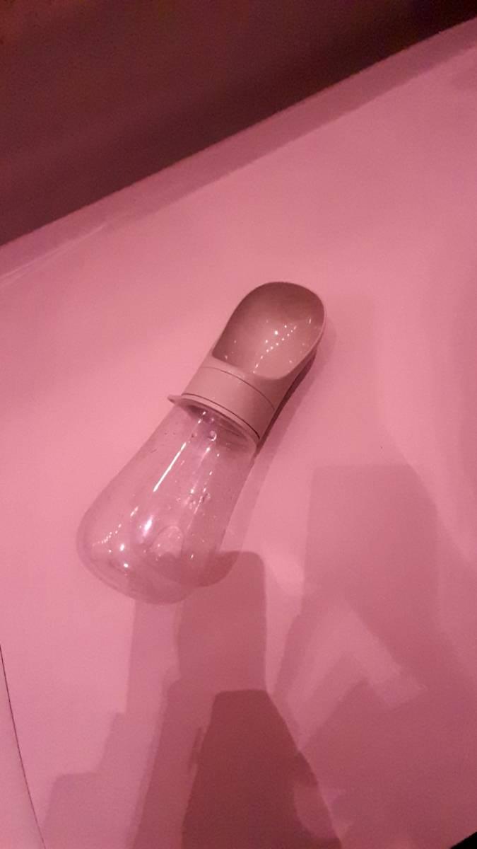 Dog drinking bowl