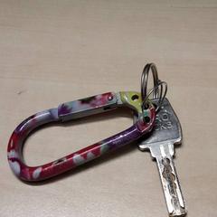 Klucz, zgłoszono przez Arriva Oost-Brabant przy użyciu iLost