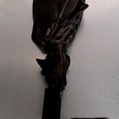 Regenschirm Svart, gemeldet von Keolis Lund über iLost