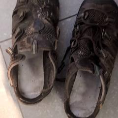 Chaussons & Des chaussures, a été signalé par Ziekenhuis Oost-Limburg utilisant iLost