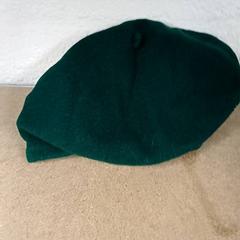 Hut Groen, gemeldet von Qbuzz GD Groningen Peizerweg über iLost