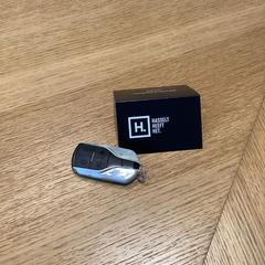 Chave de carro Zwart, como reportado por Stad Hasselt utilizando o iLost