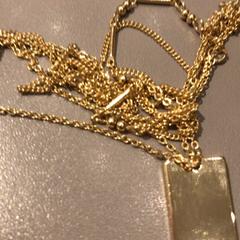 Náhrdelník, jak nahlášeno MEININGER Hotel Amsterdam Amstel pomocí iLost