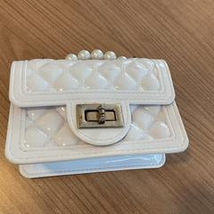 Taška, ako bolo nahlásené Breng Arnhem pomocou iLost