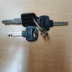 Sleutelbos, som rapportert av Gemeente Zutphen ved bruk av iLost