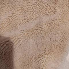 Peluche, como reportado por De Efteling utilizando o iLost