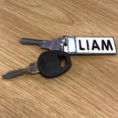 Sleutels Met sleutelhanger met naam liam, zgłoszono przez Gemeente Alkmaar przy użyciu iLost