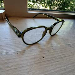 Szemüveg Donker groen nontuur, amint azt DierenPark Amersfoort az iLost segítségével jelentette.