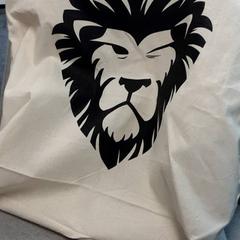 Bag, as reported by Arriva Friesland / Groningen using iLost