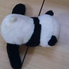 Kuscheltier panda, gemeldet von Het Spoorwegmuseum über iLost