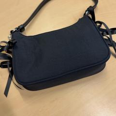 Bolso de dama, segundo informou RET usando iLost