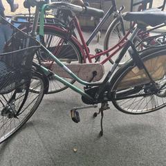 Damcykel, rapporterat av Gemeente Roermond med iLost