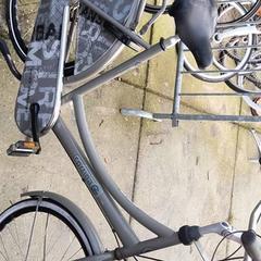 Damcykel Cortina, rapporterat av Stadswerk072 med iLost