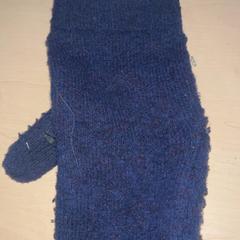 Guants, segons ha informat Jaarbeurs mitjançant iLost