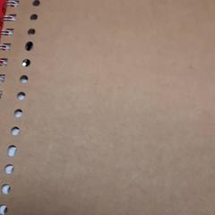 Carnet, a été signalé par UvA REC utilisant iLost