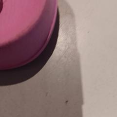 Schuh, gemeldet von De Efteling über iLost