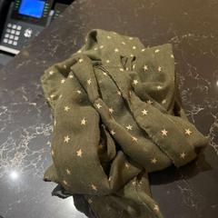 Schal, gemeldet von Van der Valk Hotel Veenendaal über iLost