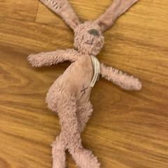 Plyšová hračka, ako bolo nahlásené Het Amsterdamse Winterparadijs pomocou iLost