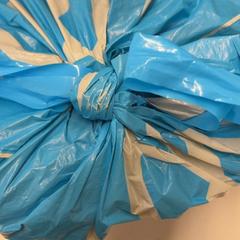 Torba, zgłoszono przez GVB przy użyciu iLost