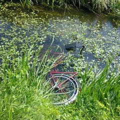 Rode damesfiets, iLost에 보고됨