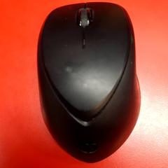 Rato, segundo informou UvA REC usando iLost