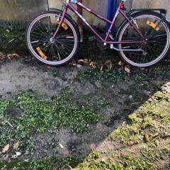 Kinderfiets Rarner bordeaux, como reportado por Stad Peer utilizando o iLost