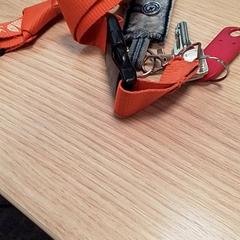 İLost kullanarak Qbuzz Fryslân tarafından bildirildiği gibi Anahtarlar